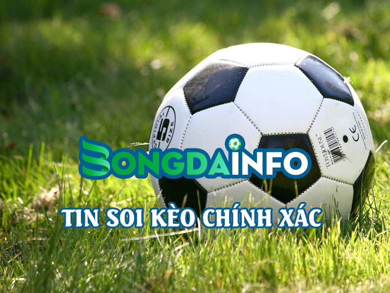 Bật mí ngay Top 1 diễn đàn bóng đá lớn nhất Việt Nam hiện nay